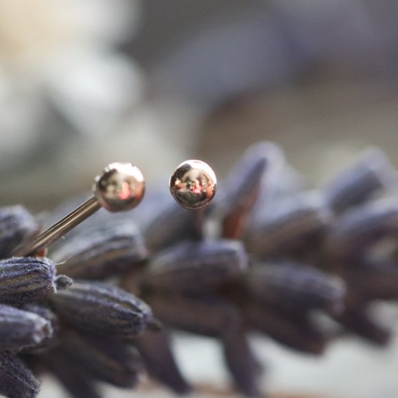 10K Solid Gold Tiny Ball Stud Earrings - "Ambitious Child" by Brightly&Lilian - Picture 2 of 6